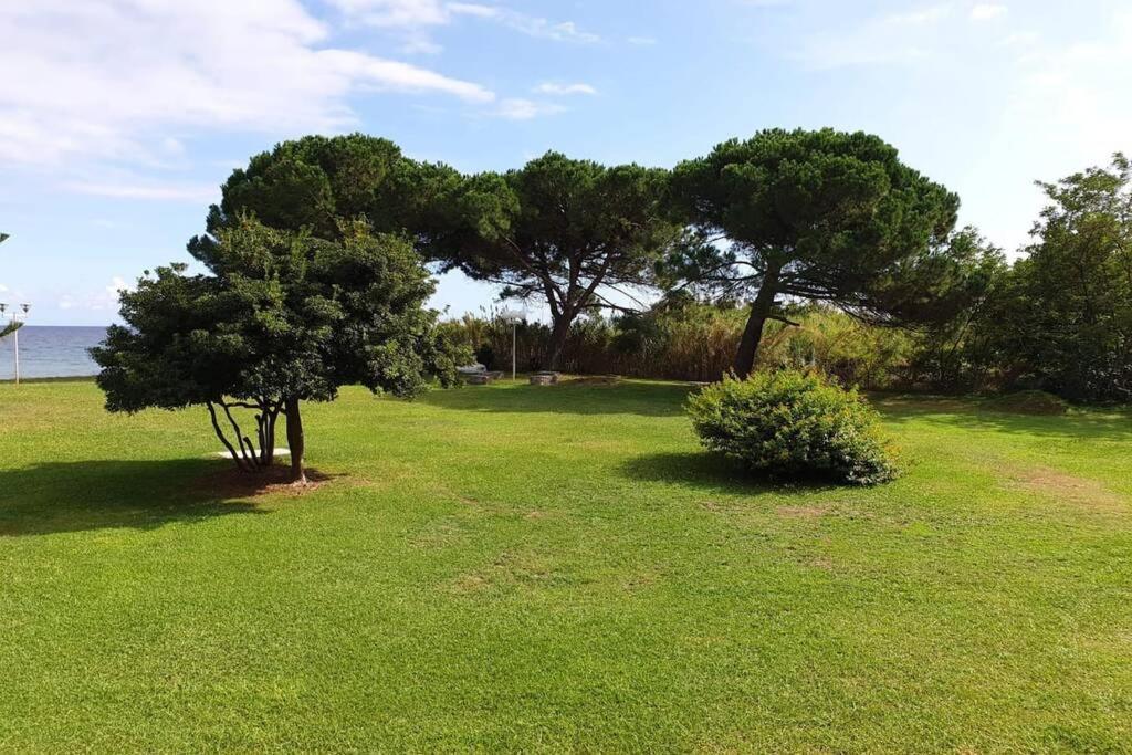 Studio Bord De Mer - Piscine - Plage San-Nicolao Εξωτερικό φωτογραφία
