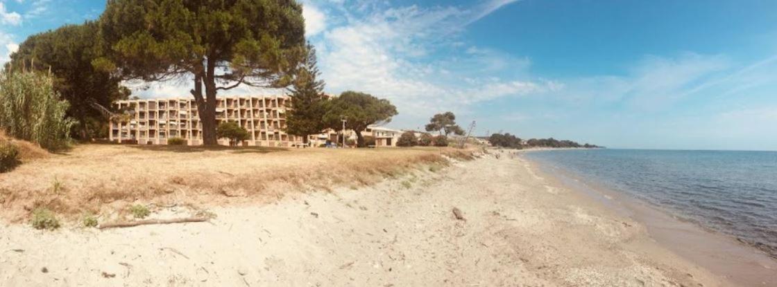Studio Bord De Mer - Piscine - Plage San-Nicolao Εξωτερικό φωτογραφία
